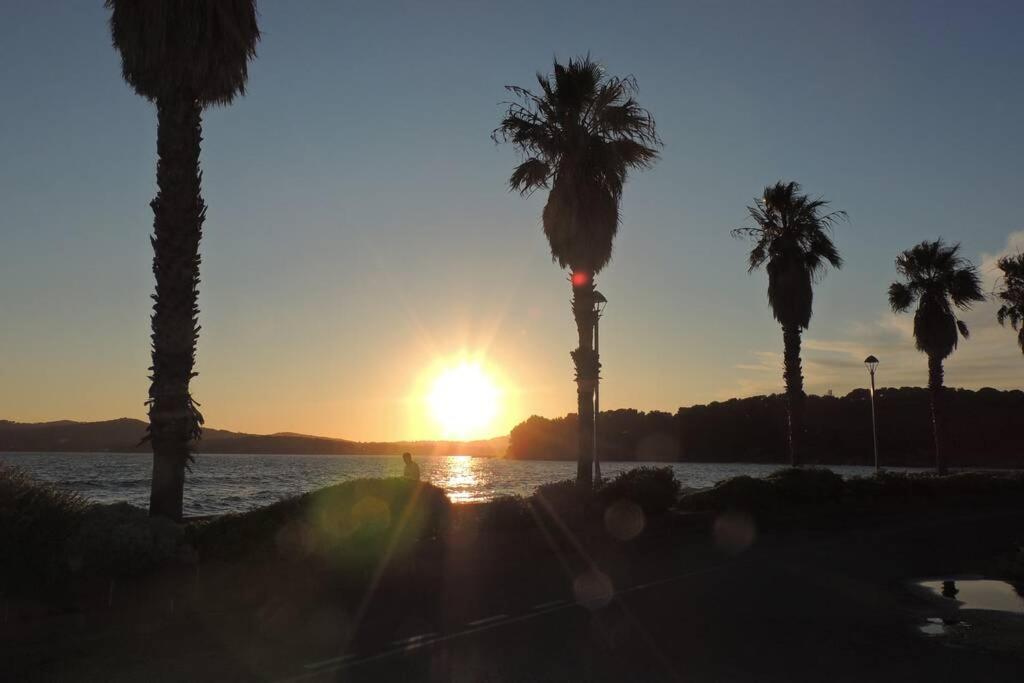 Petit Paradis A Mandrier 1 A 4 Mn Clim Parking Wifi * Saint-Mandrier-sur-Mer